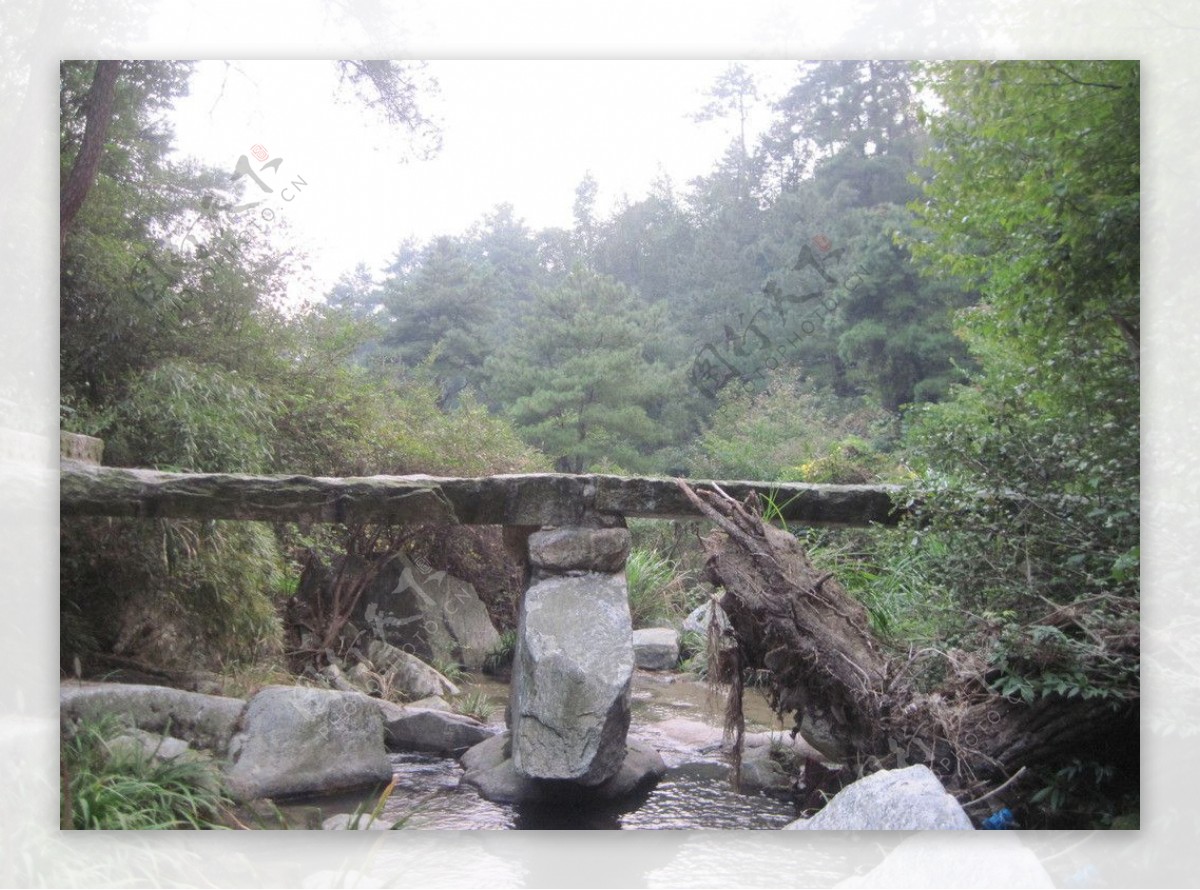 木桥小溪图片