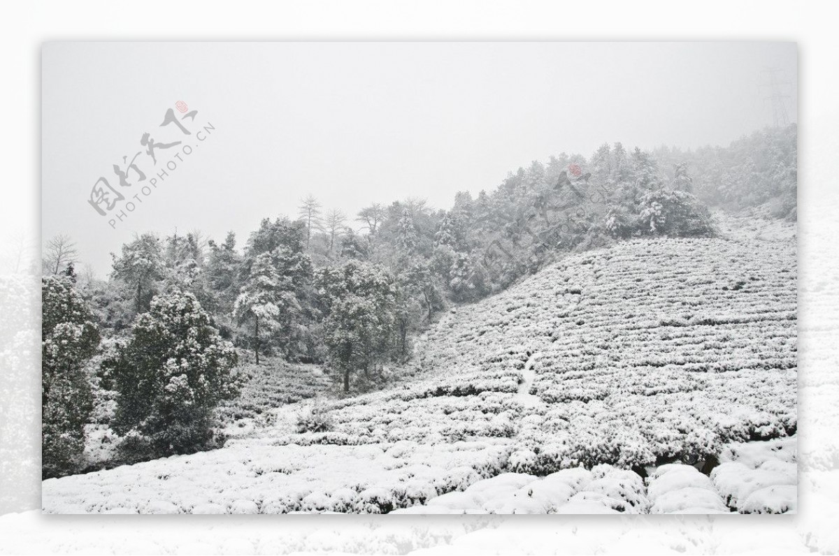 雪景图片