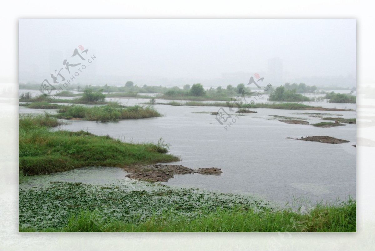 沂河湿地图片