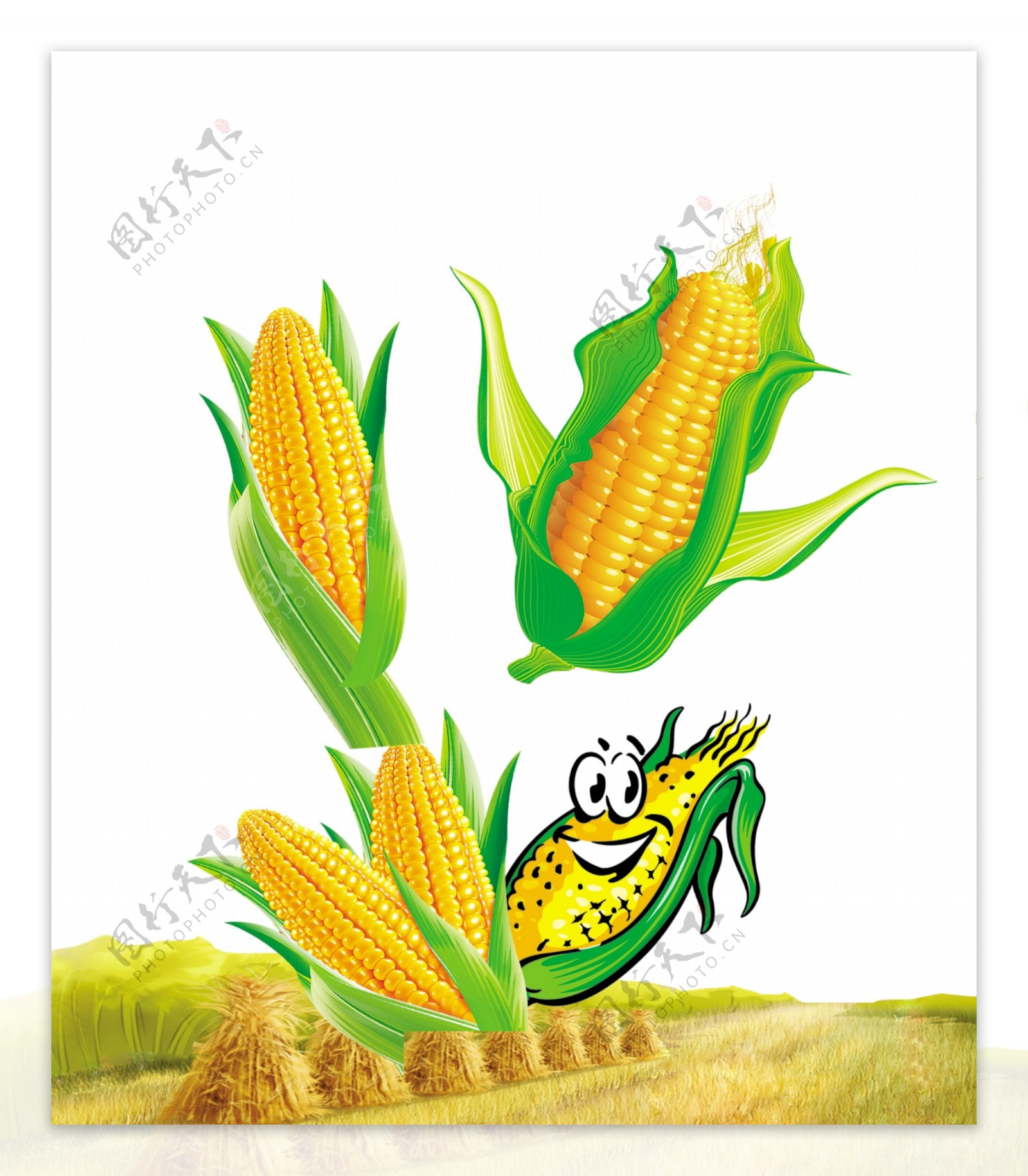 玉米设计图__蔬菜_生物世界_设计图库_昵图网nipic.com