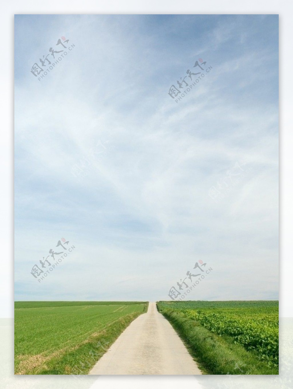 原野草原道路图片