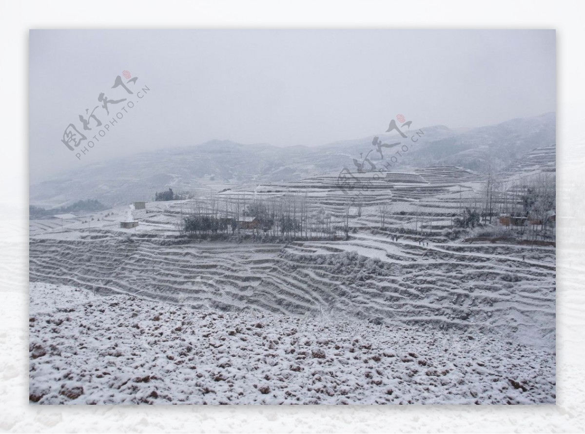 雪后的土地图片