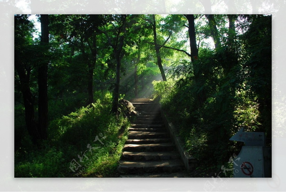 黄山风景图片