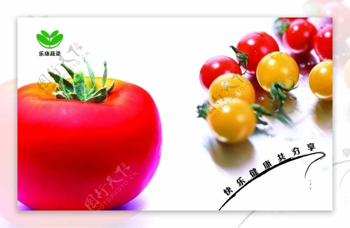 乐康蔬菜画册模板图片