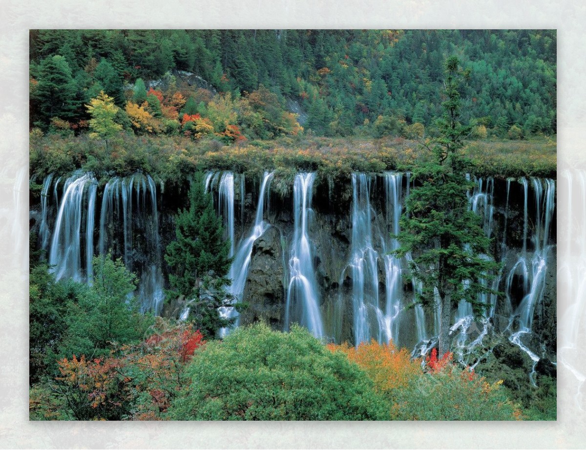 中国四川九寨沟诺日朗图片