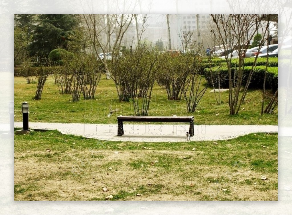 公园绿地板凳图片