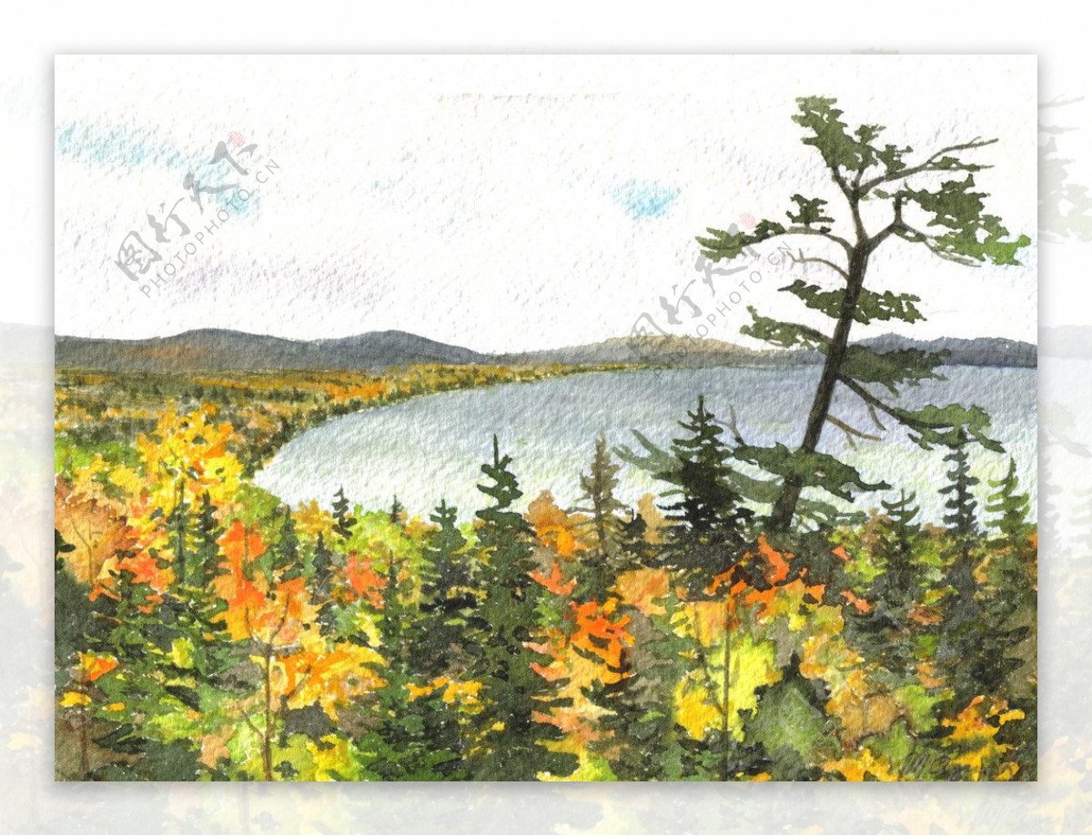 油画树林湖植物白天图片
