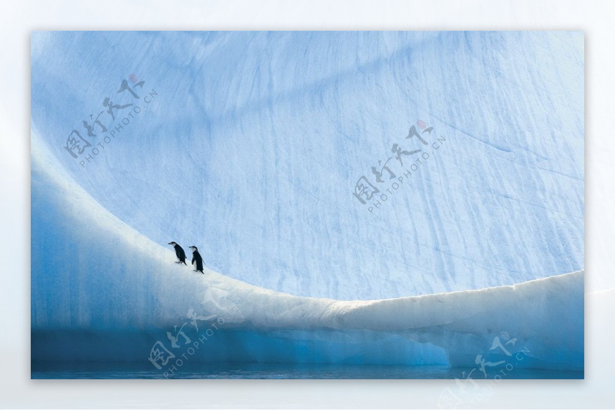 冰天雪地图片