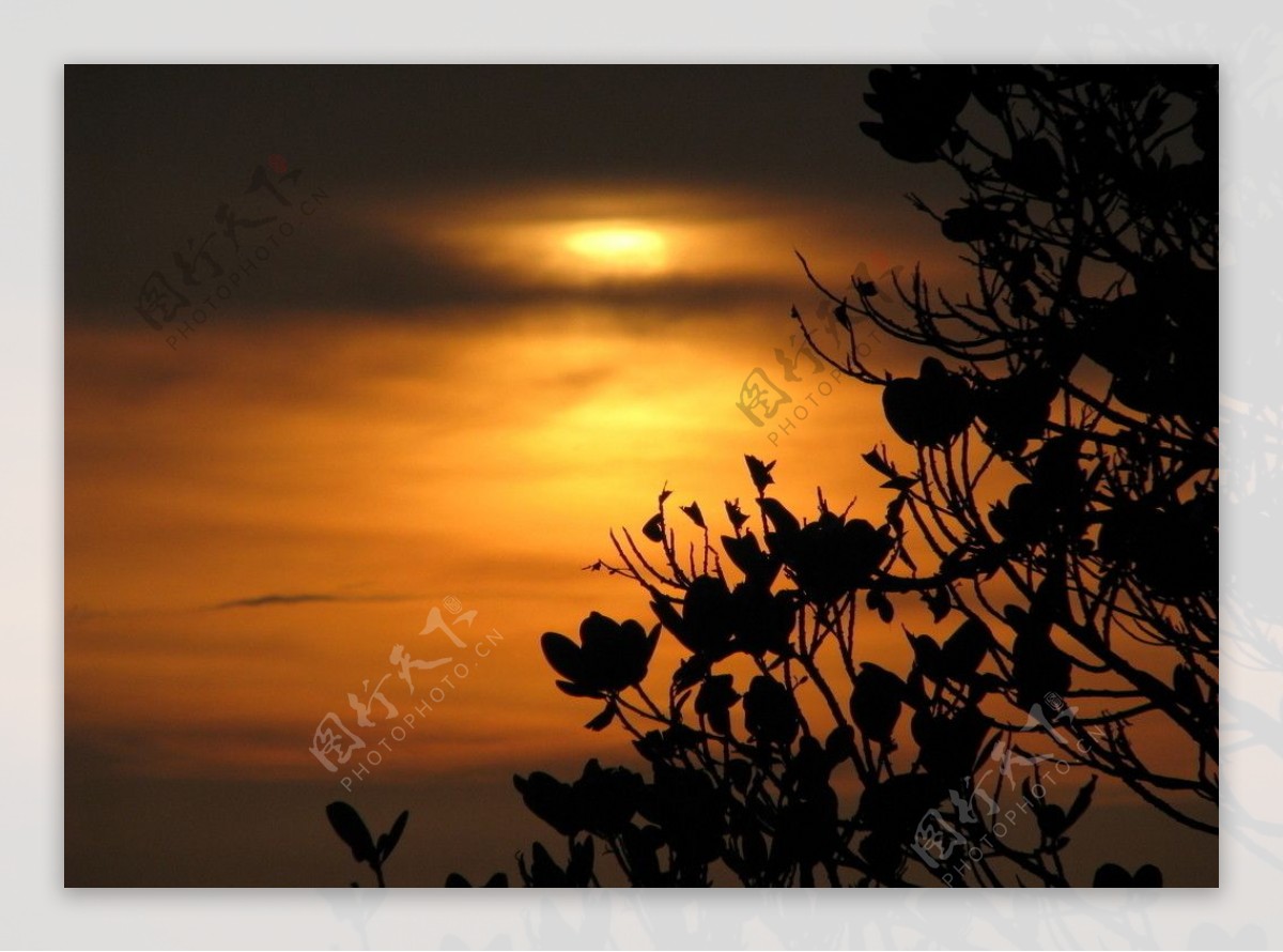 西子湾夕阳图片