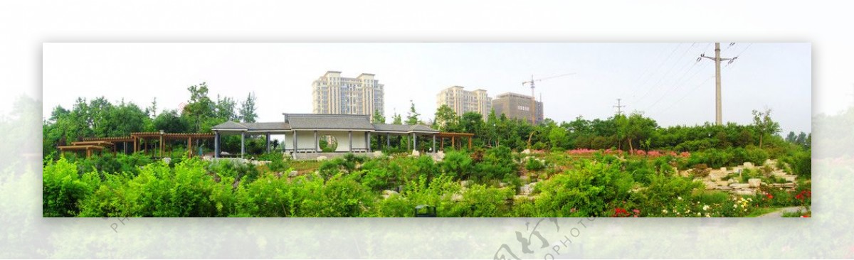 潍坊市植物园景观图片