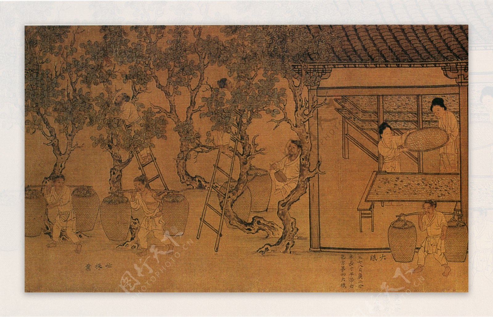 中国古代采桑养蚕图图片