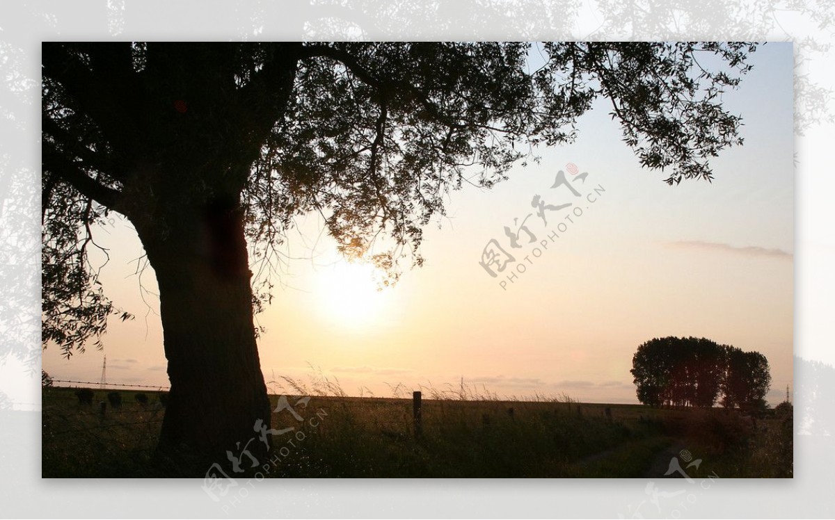 田园夕阳风光图片