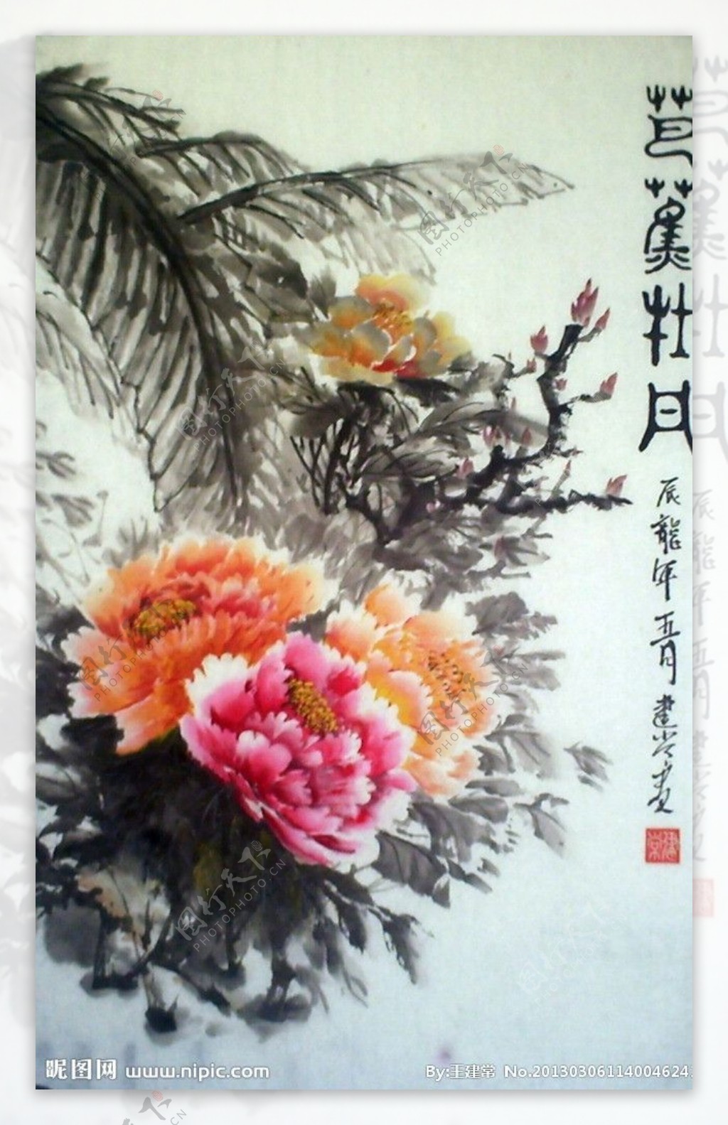 芭蕉牡丹图片