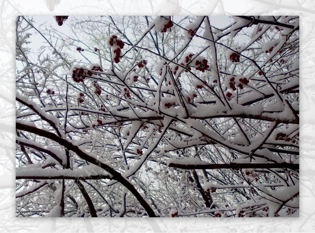 雪景图片