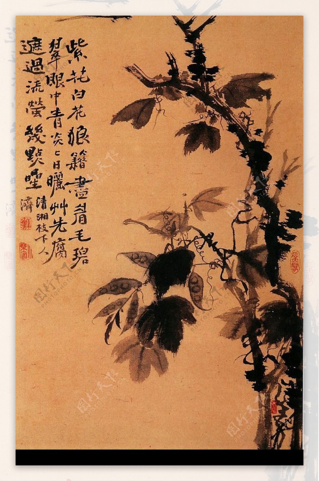 原济山水花卉图一图片