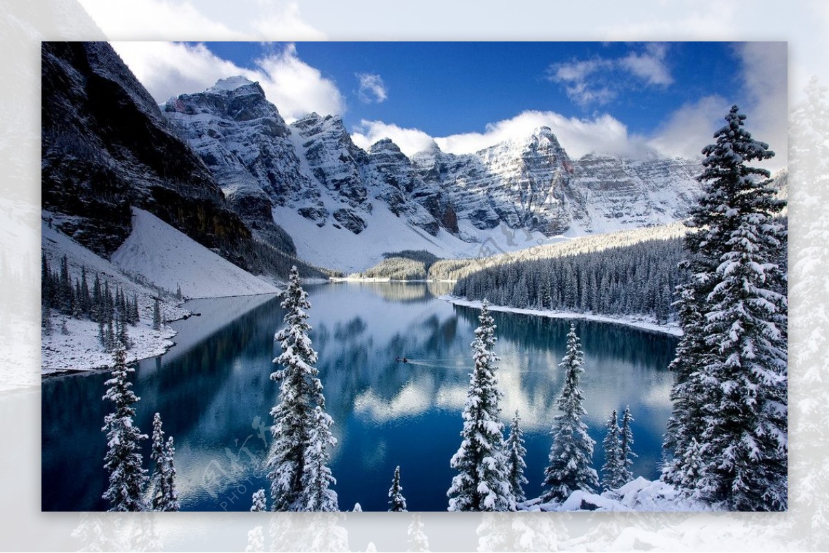 雪域高原雪松雪山冰河蓝天白云湖泊河水图片