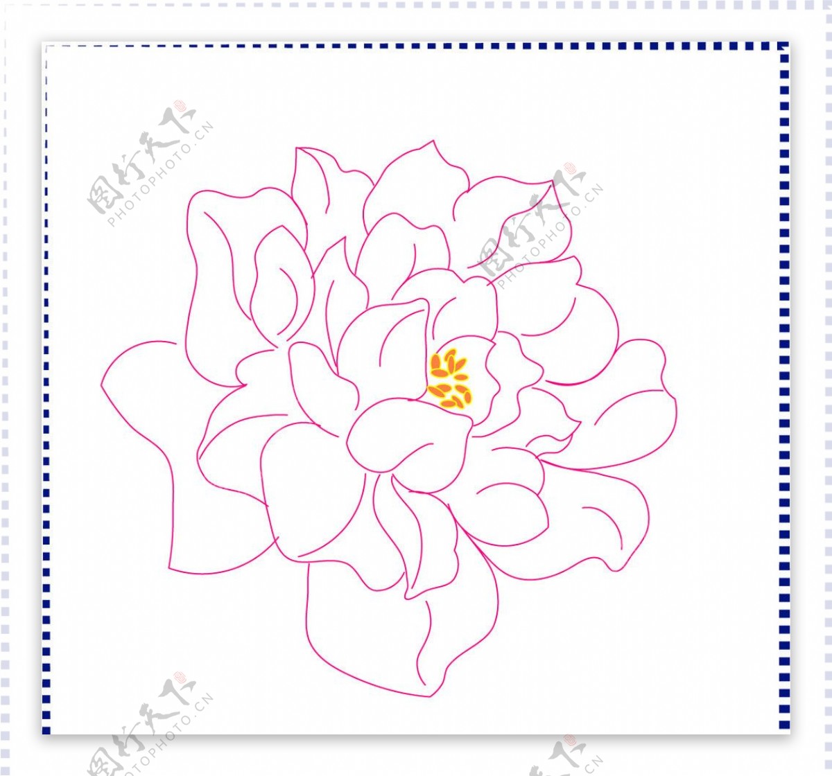 线描花卉图片