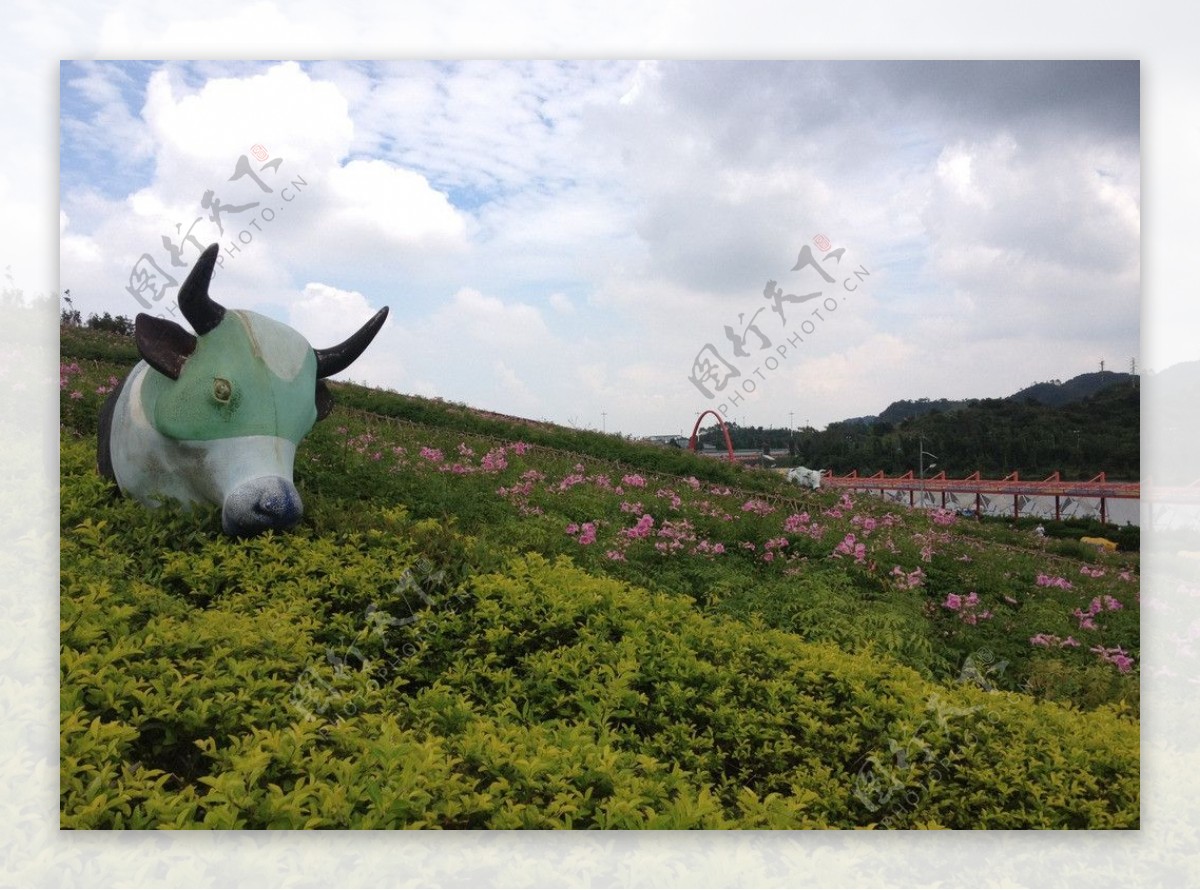 深圳茶溪谷图片