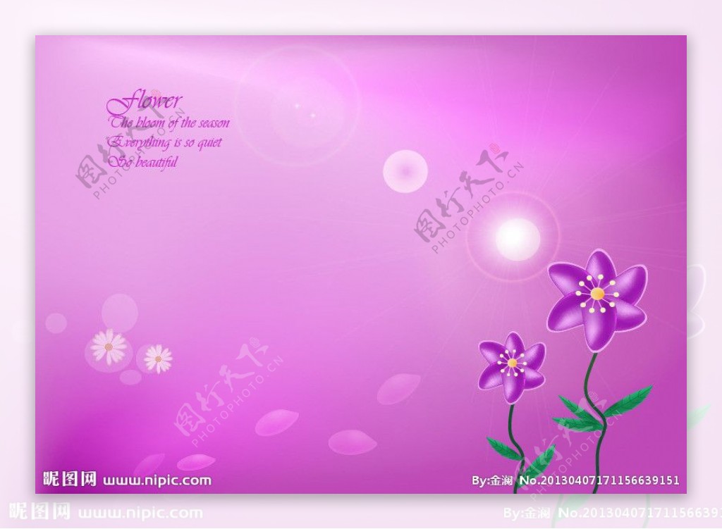 紫色唯美花朵背景图图片