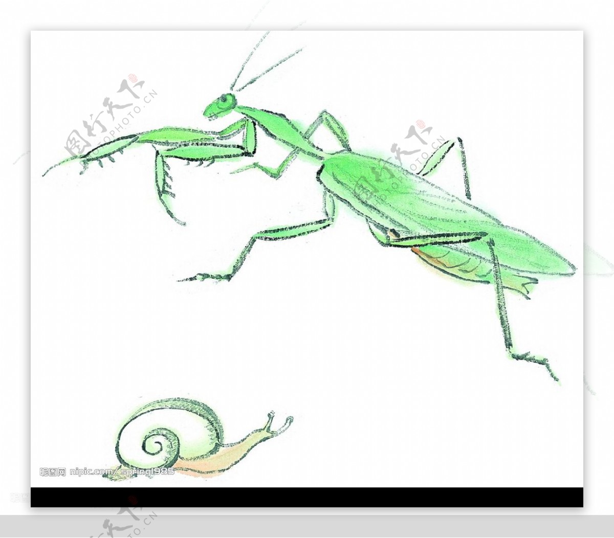 水墨风格的螳螂图片