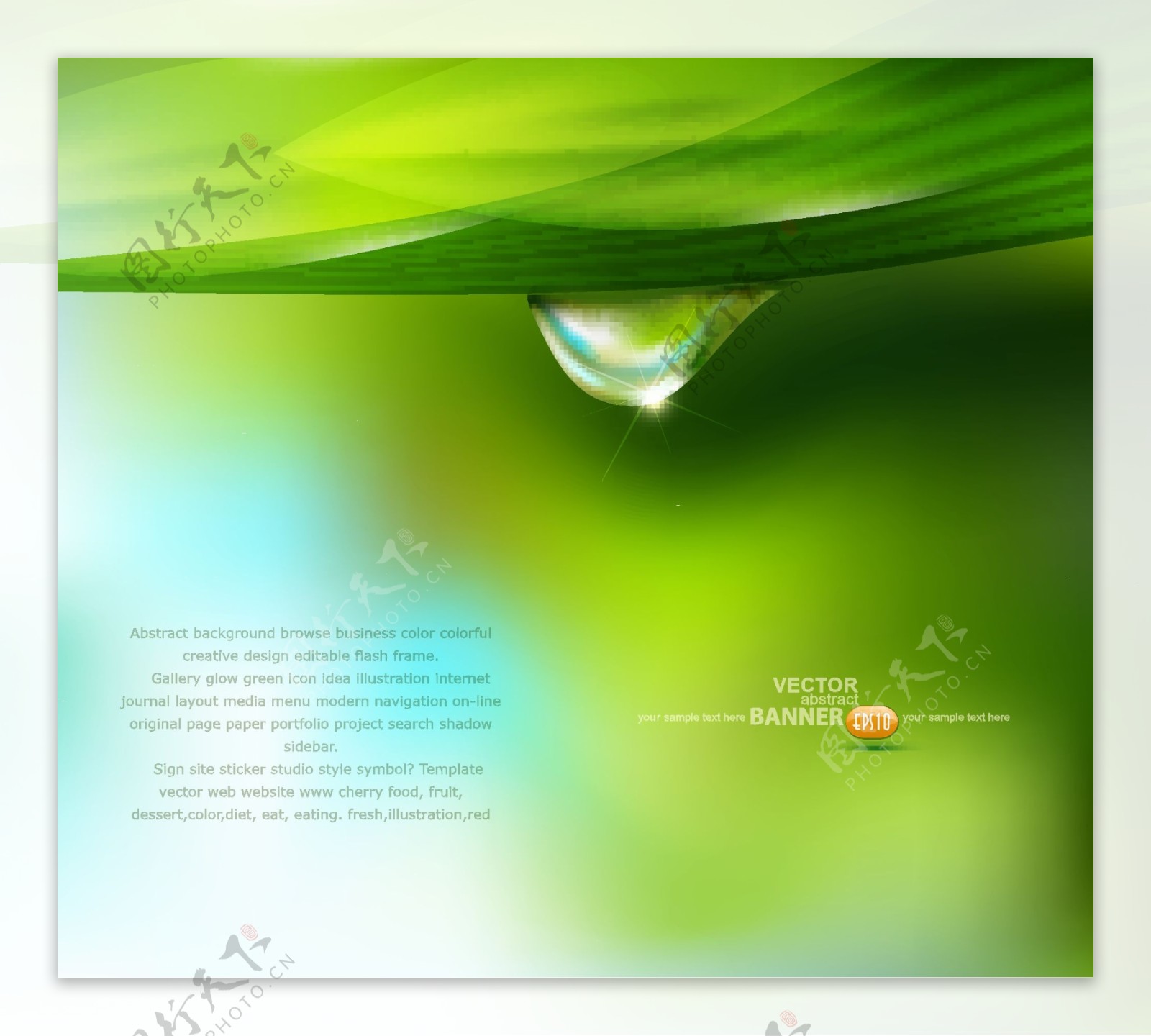 动感绿叶水珠水滴图片