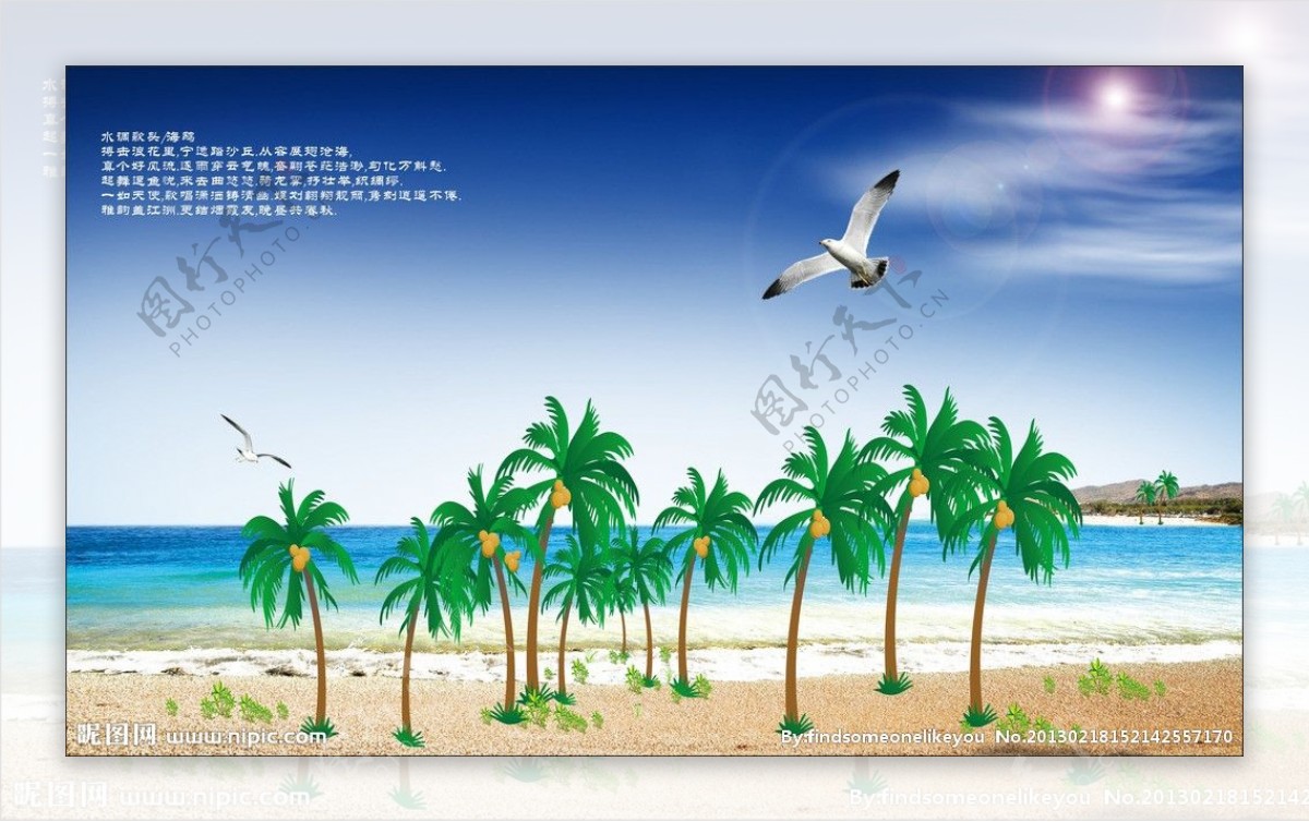 海岛椰树海鸥图片