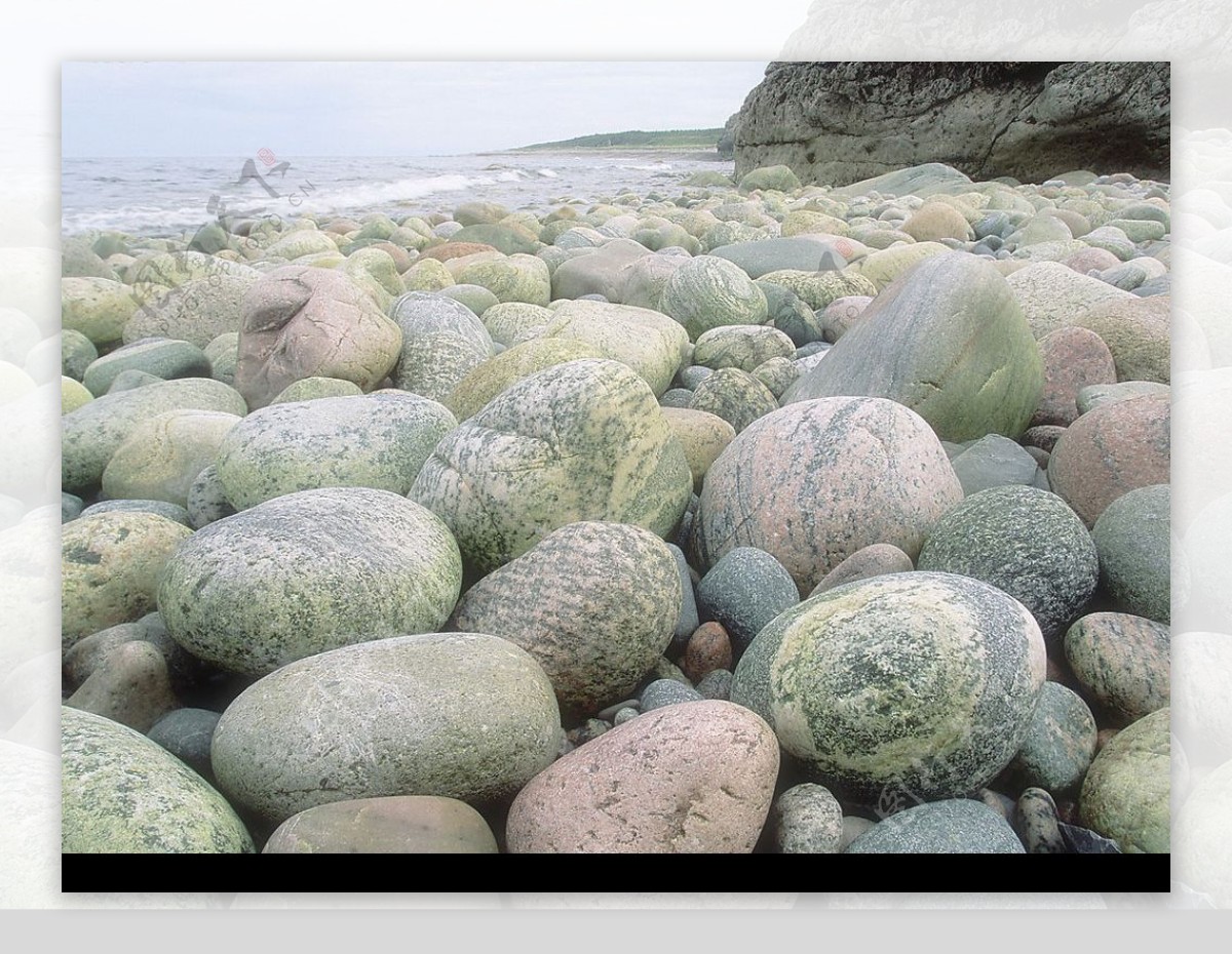 海边岩石特写图片
