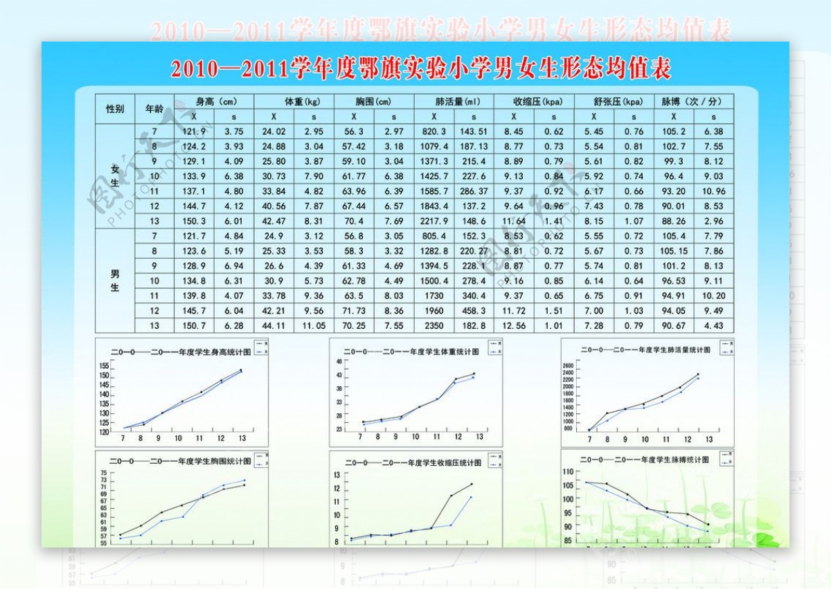 实验小学男女生形态均值图片