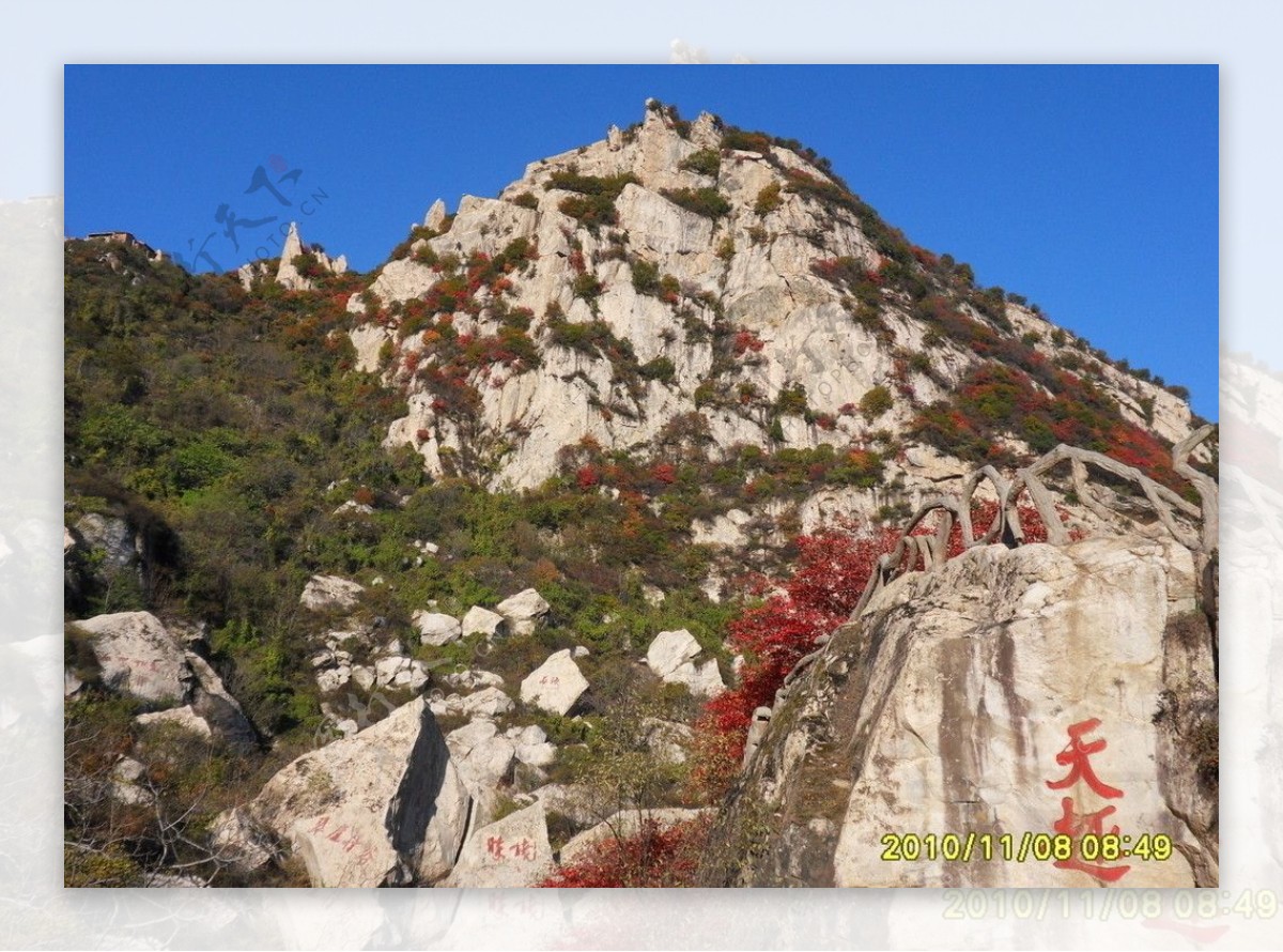 翠华秋景图片