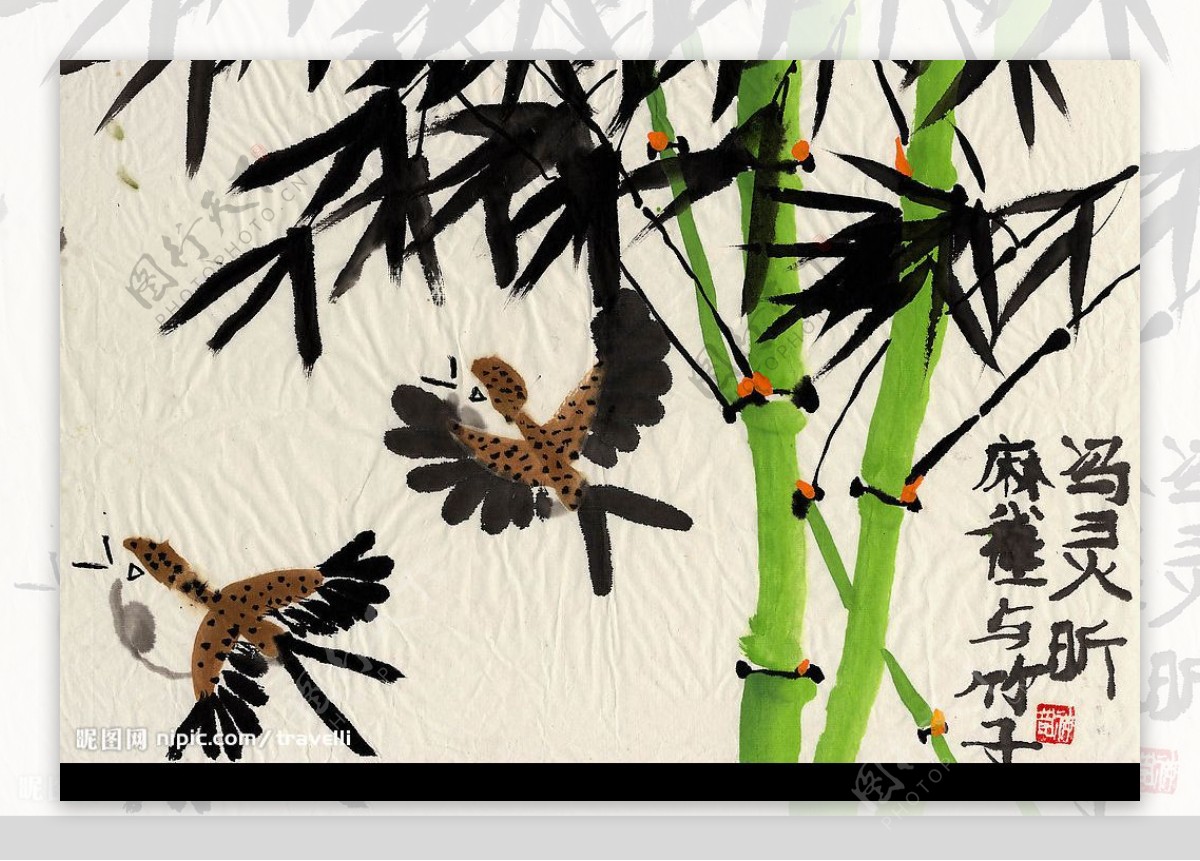 麻雀与竹子图片