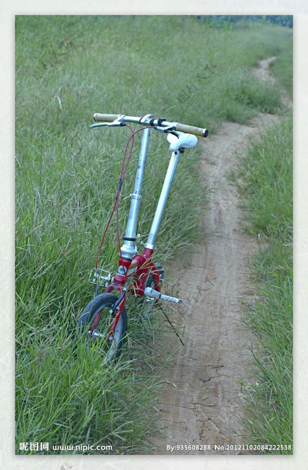 乡村骑自行车图片