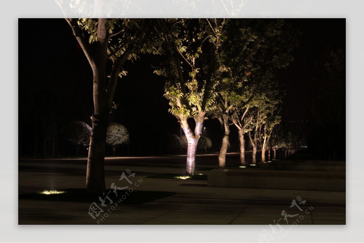 LED地埋灯公园图片