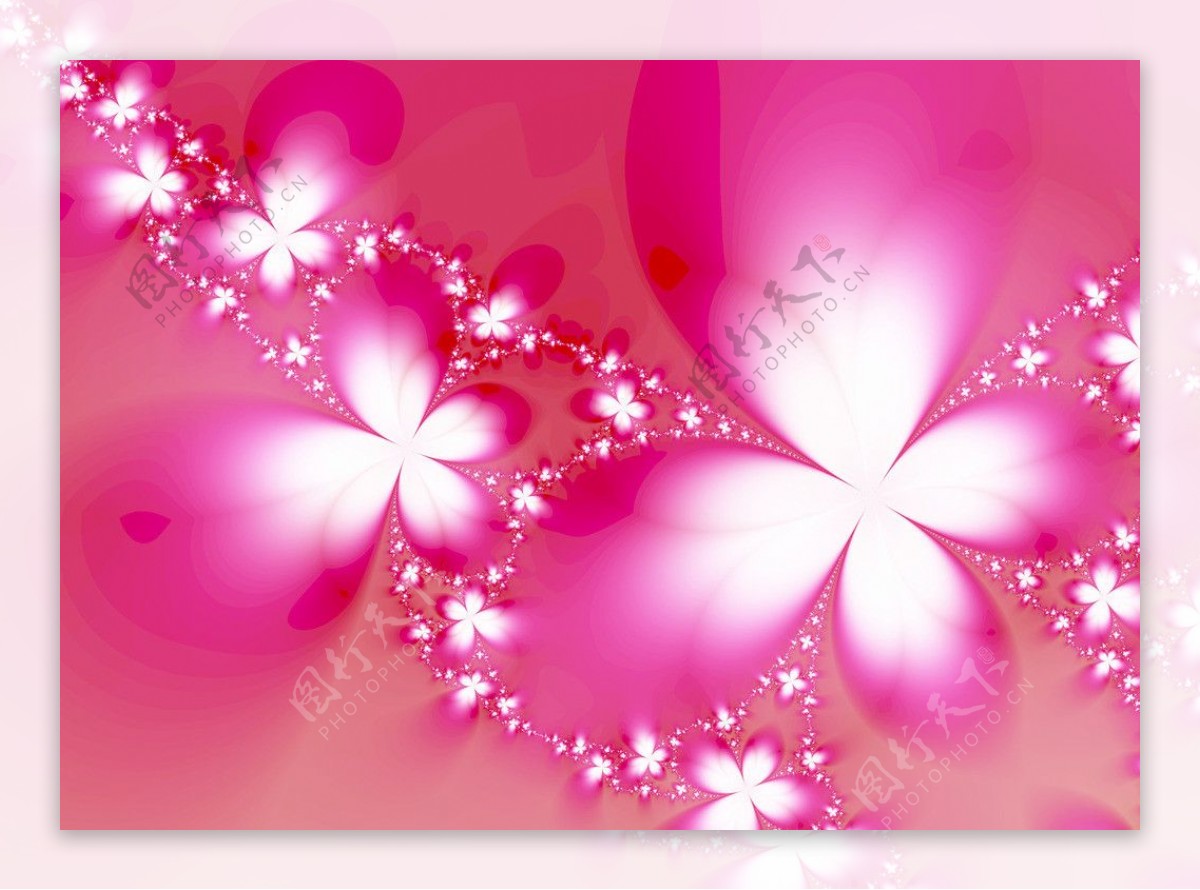 日式桃红花语图片