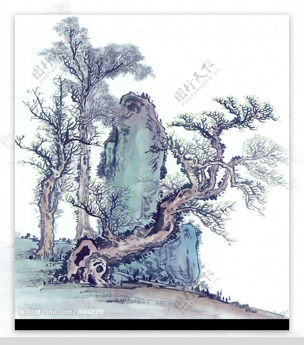 国画系列古树奇石63张图片