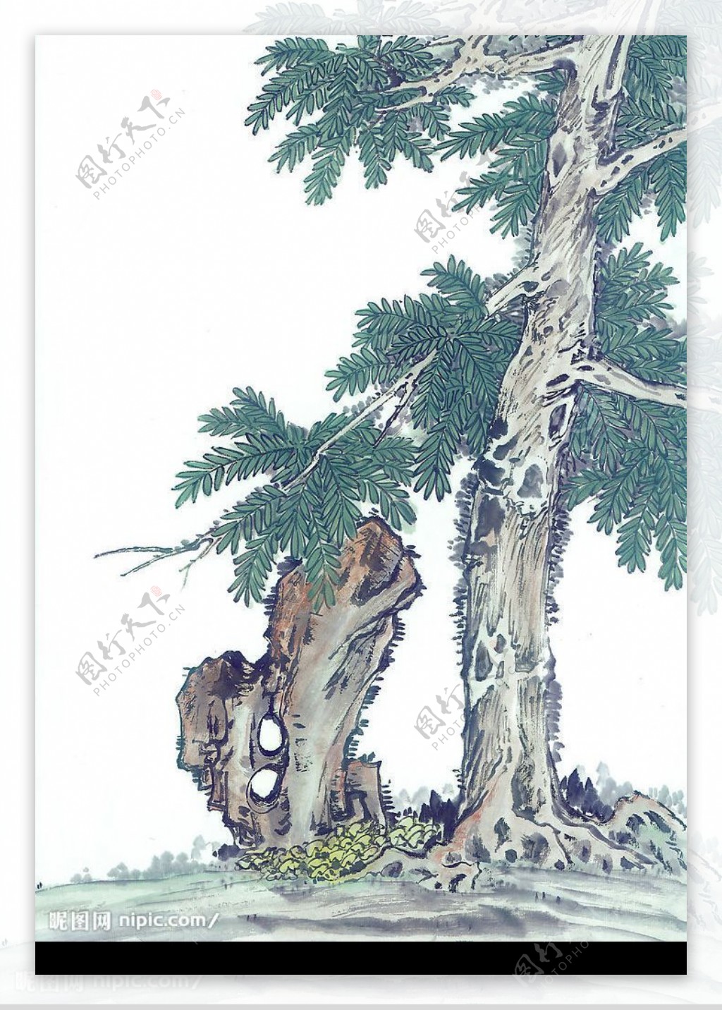 古画树木图片