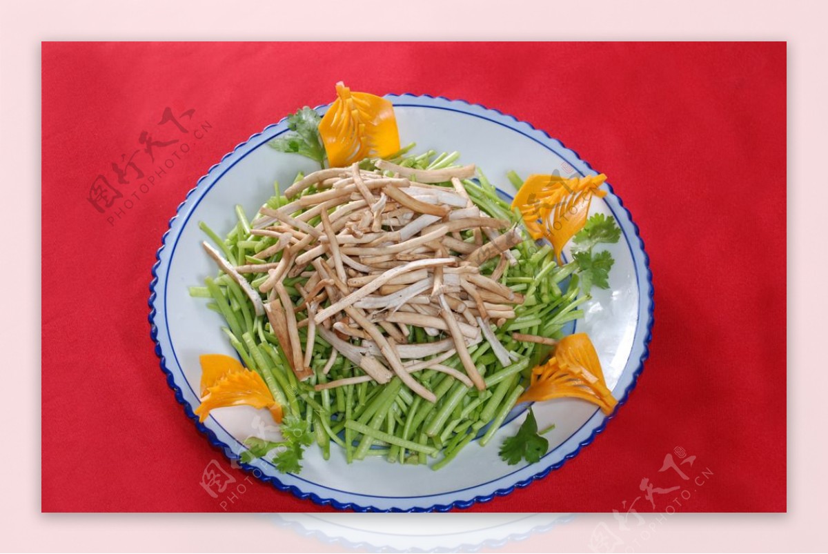 茶树菇炒茼蒿杆图片