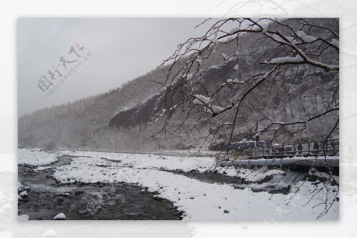 树窗雪地图片