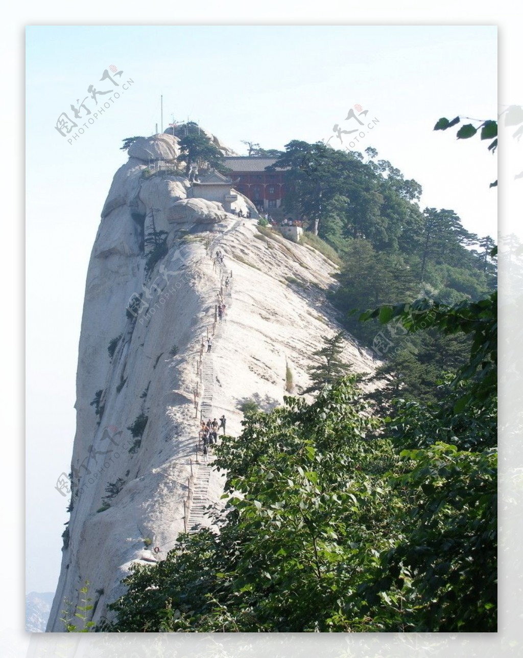 遥望华山顶图片