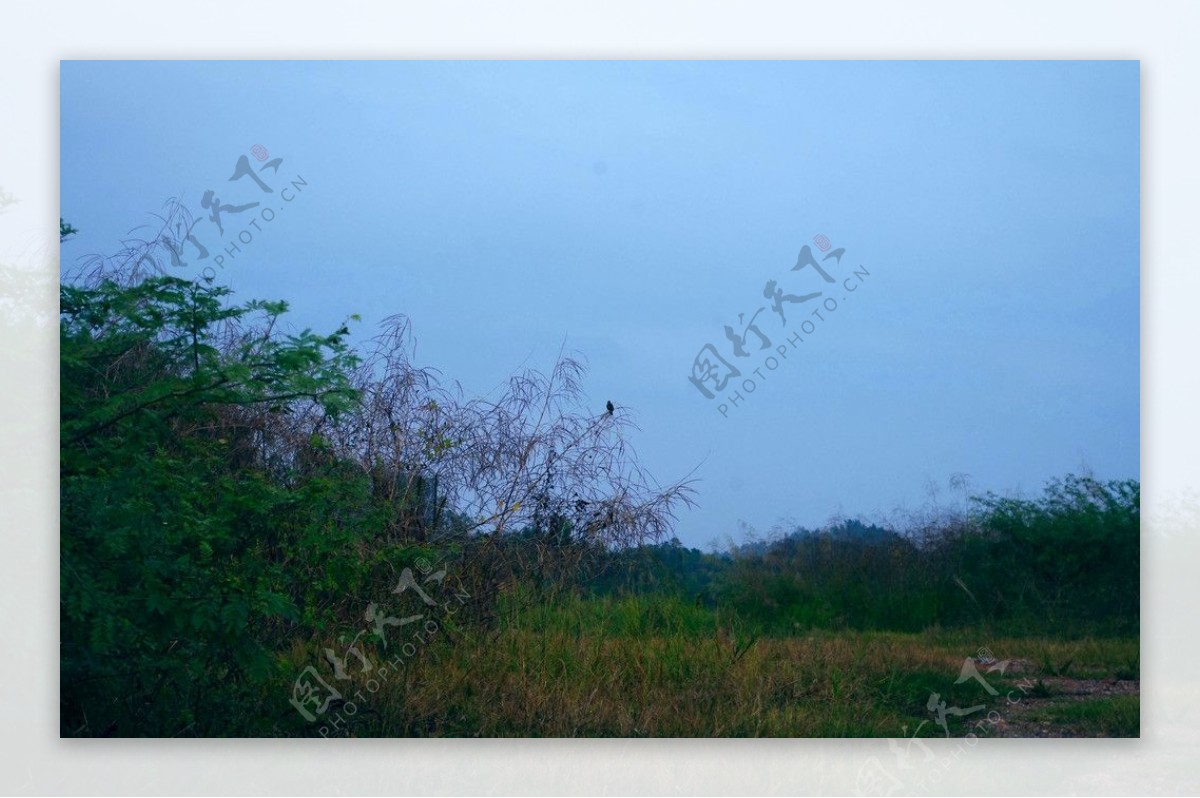 中国山水高山鸟雀图片