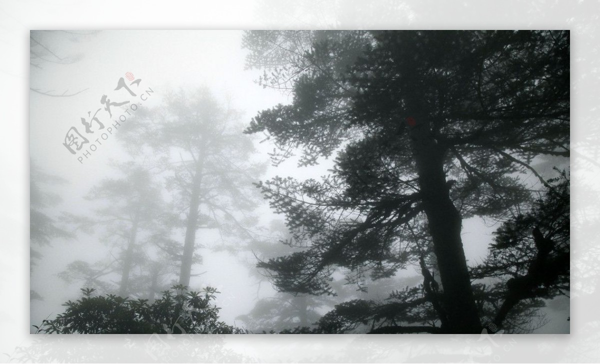 七月的瓦屋山雾景图片