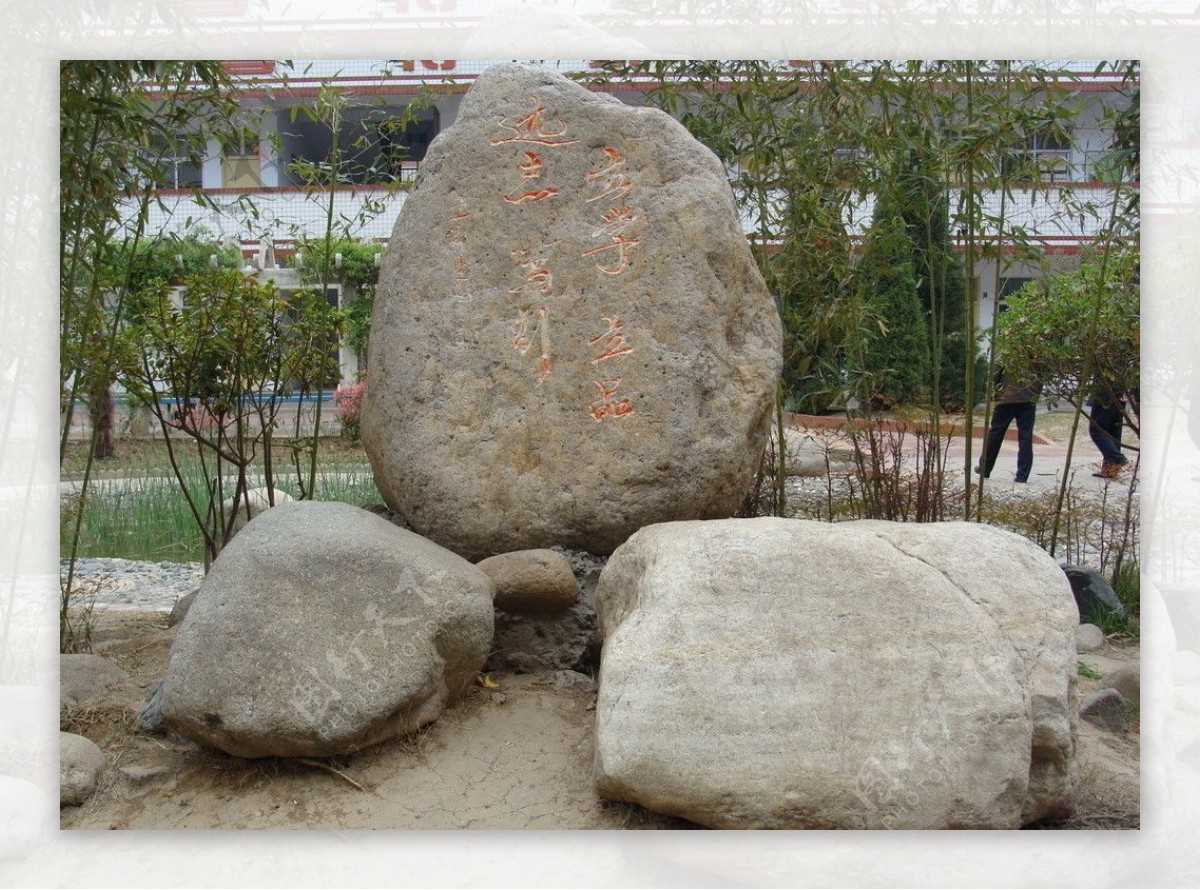 校园文化石奇石图片