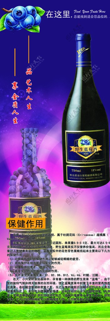 蓝莓酒展架图片