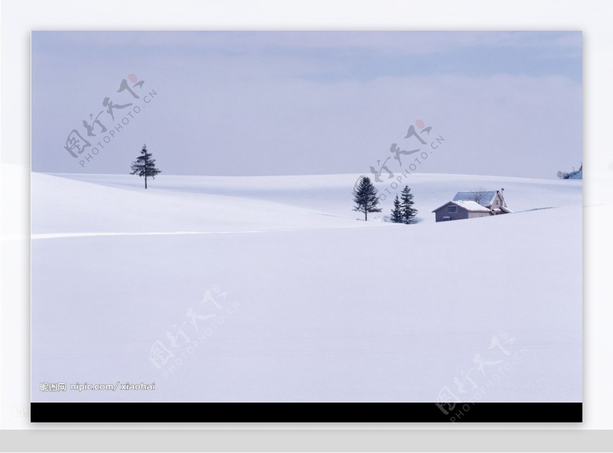 雪地树木房子图片