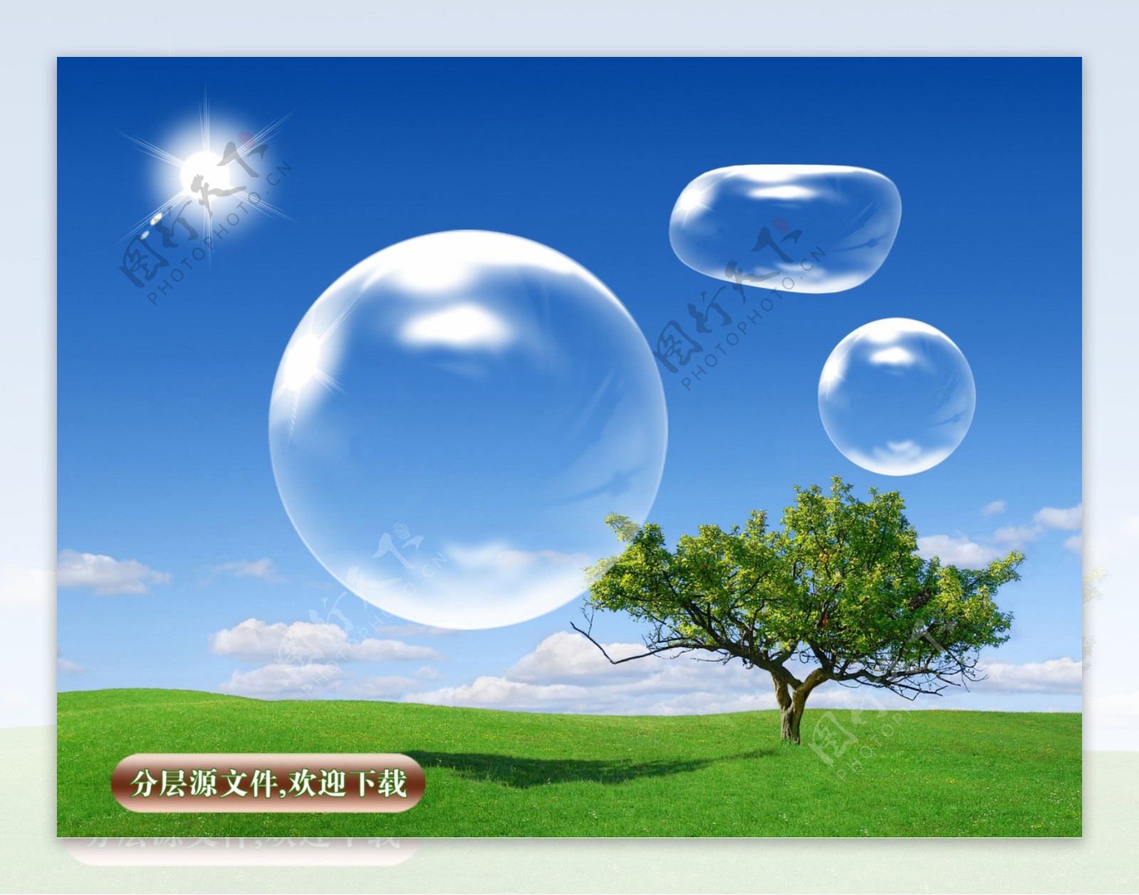 绿地水泡气泡图片