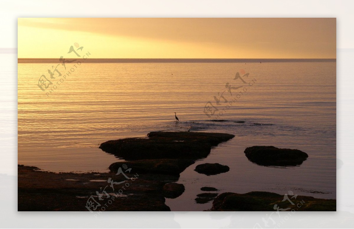 海滩礁石海面夕阳地平线图片