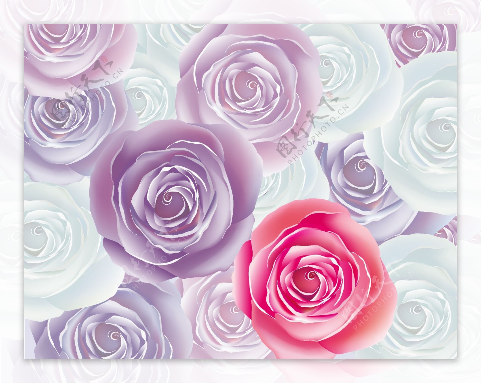 时尚花纹花朵玫瑰背景图片