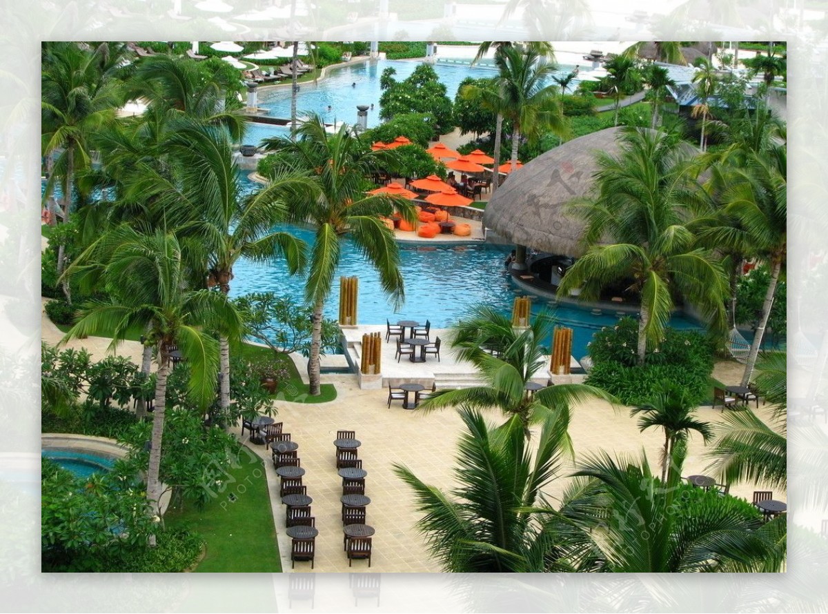 热带泳池酒吧图片