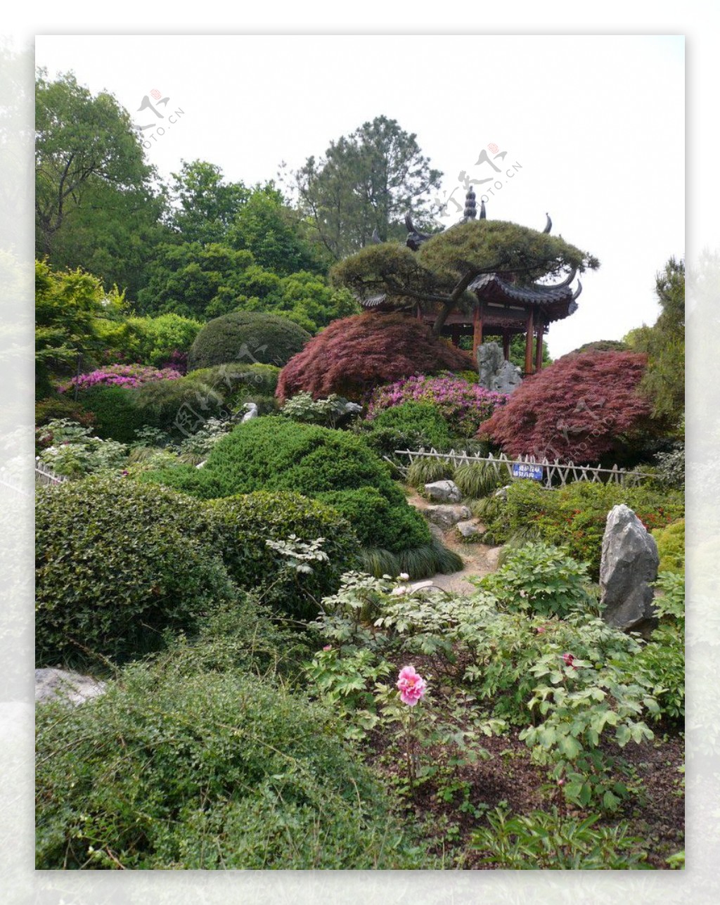 植物园图片