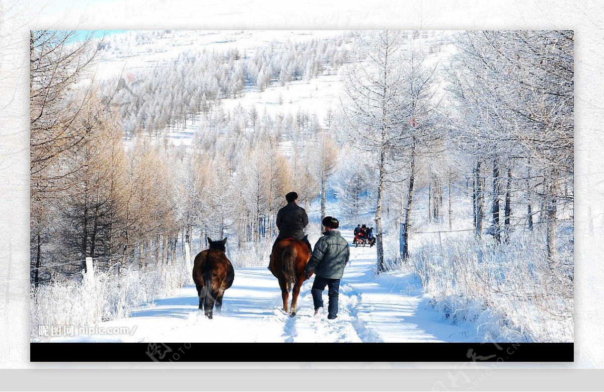 桦皮岭的冬天图片