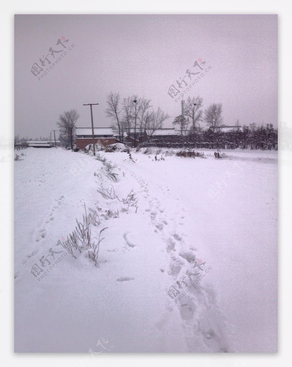 阴天渭北雪景图片
